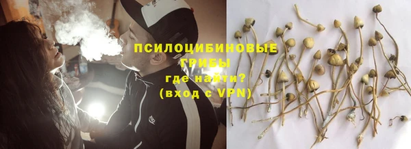 spice Баксан
