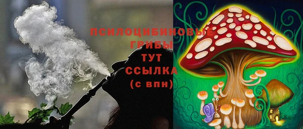 spice Баксан